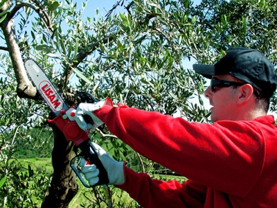 Sierra neumática para poda LISAM